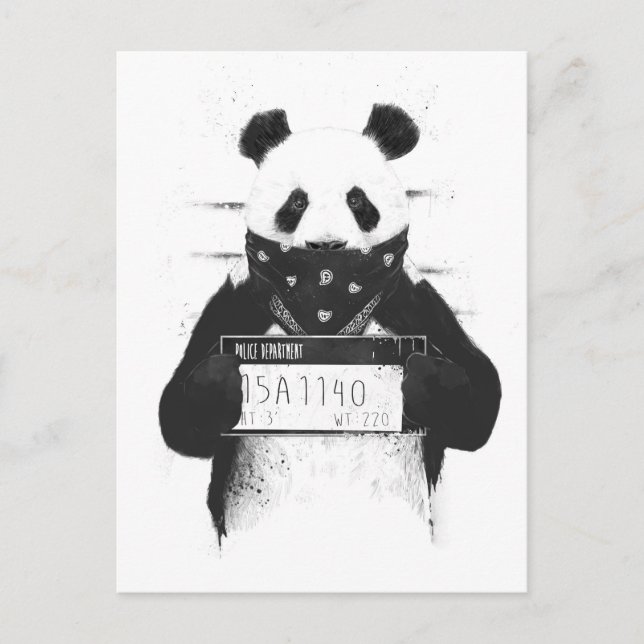 Carte Postale Panda incorrecte (Devant)