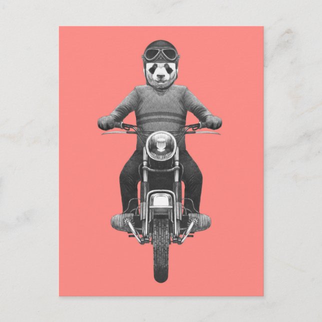 Carte Postale Panda Motorcyle Rider (Devant)