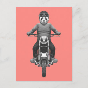 Carte Postale Panda Motorcyle Rider