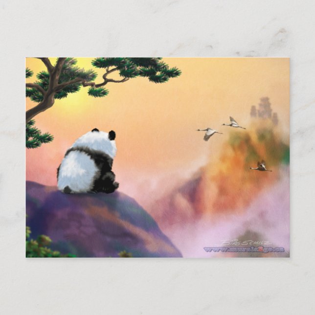 Carte Postale Panda regarde (Devant)