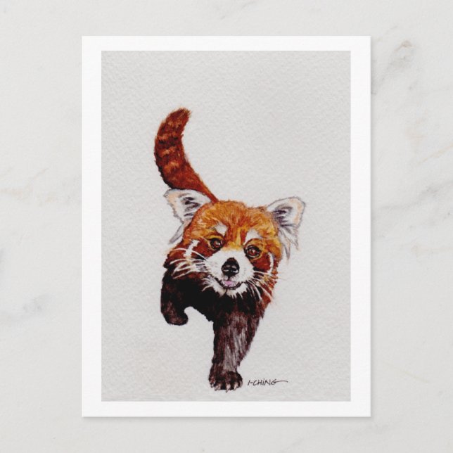 Carte Postale Panda rouge (Devant)