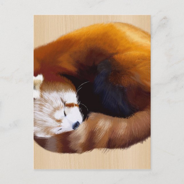 Carte Postale panda rouge (Devant)