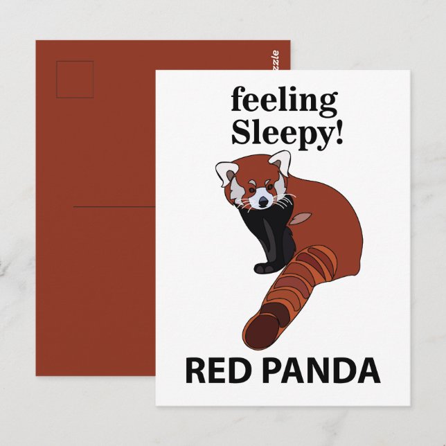 Carte Postale Panda roux ayant sommeil Drôle Panda roux (Devant / Derrière)