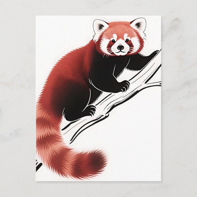 Carte Postale Panda roux perché sur une branche (Devant)