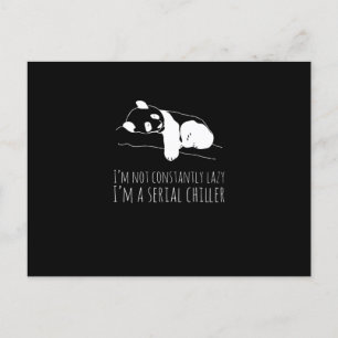 Carte Postale Panda Sweet Funny Funny Koala Animaux