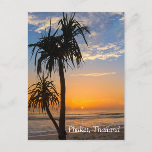 Carte Postale Pandanus au coucher du soleil, Laypang Beach, Bang