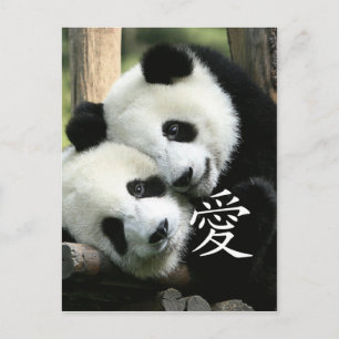 Carte Postale Pandas Chinois Aimants Petits Géants