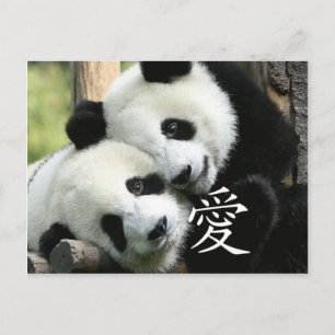 Carte Postale Pandas Chinois Aimants Petits Géants