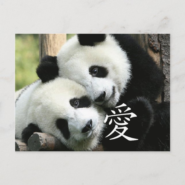 Carte Postale Pandas Chinois Aimants Petits Géants (Devant)