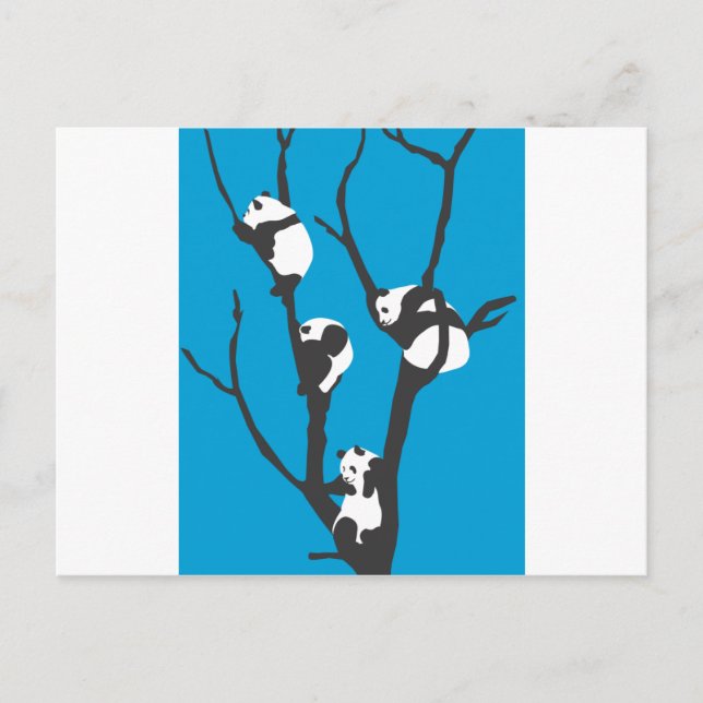 Carte Postale Pandas Hangin' Out (Devant)