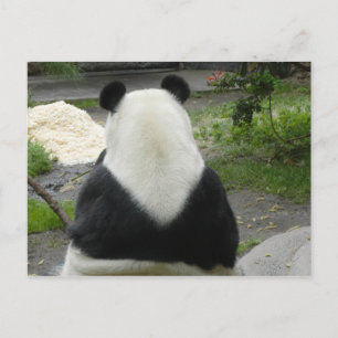 Carte Postale PandaSD002