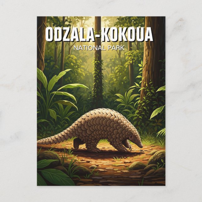 Carte Postale Pangolin dans le Parc national d'Odzala-Kokoua Con (Devant)