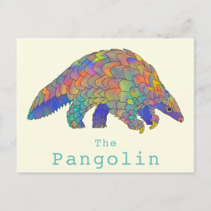 Carte Postale Pangolin Espèce Menacée Animal Coloré Art