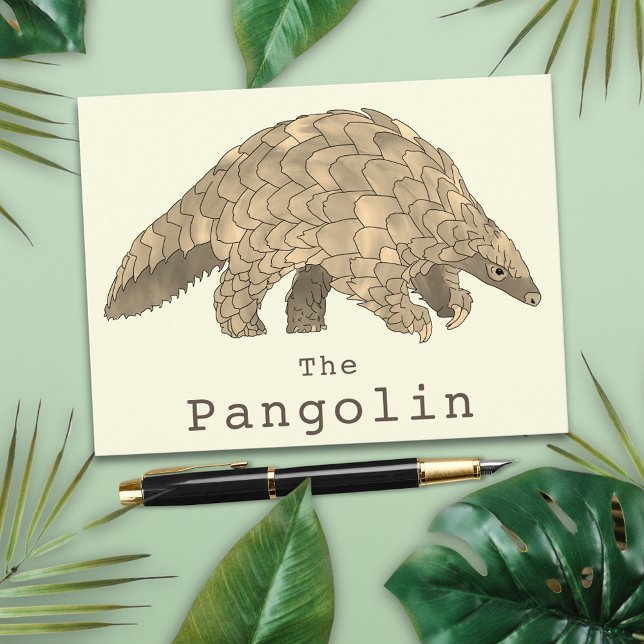 Carte Postale Pangolin Espèces en péril Espèces animales Art (Pangolin animal art greetings postcard)