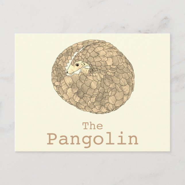 Carte Postale Pangolin Espèces en péril Espèces animales Art (Devant)