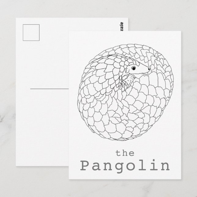 Carte Postale Pangolin roulé dessin simple (Devant / Derrière)