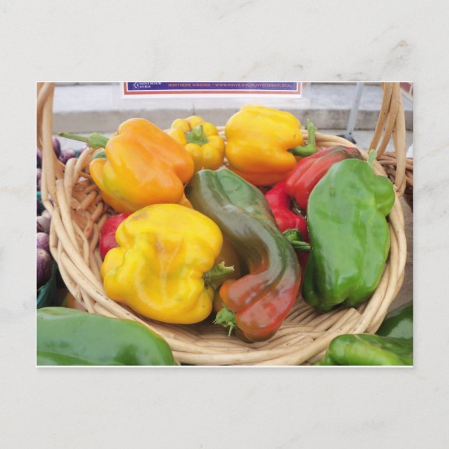 Carte Postale Panier (Devant)