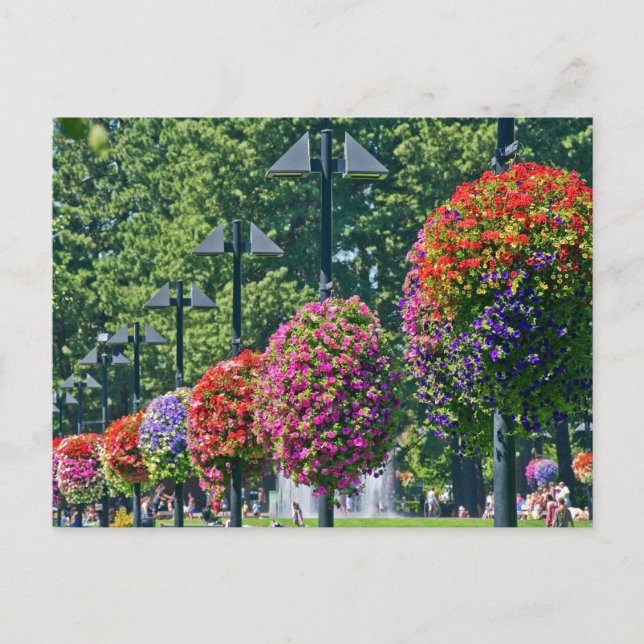 Carte Postale Panier à fleurs (Devant)