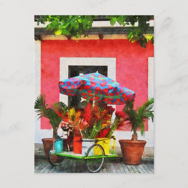 Carte Postale Panier à fleurs San Juan, Porto Rico (Devant)
