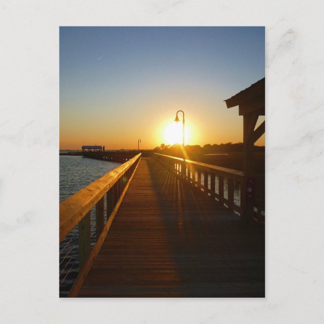 Carte Postale Panier à souris Sunset Charleston SC (Devant)