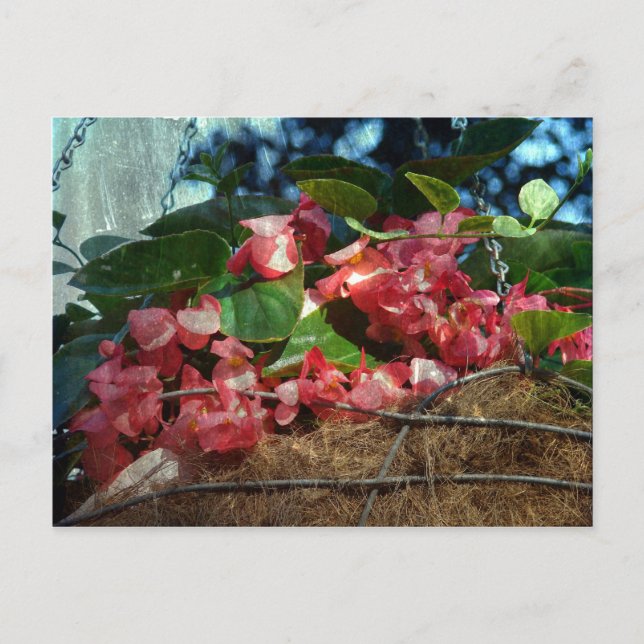 Carte Postale Panier de fleurs (Devant)