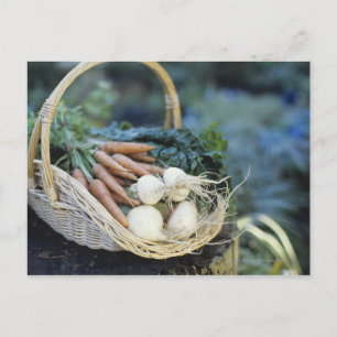 Carte Postale Panier de navets et carottes, gros plan
