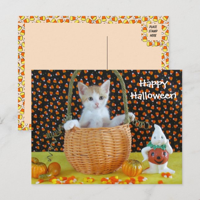 Carte Postale Panier d'Halloween d'Annie /Kitten (Devant / Derrière)
