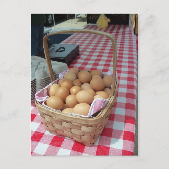 Carte Postale Panier d'oeufs (Devant)