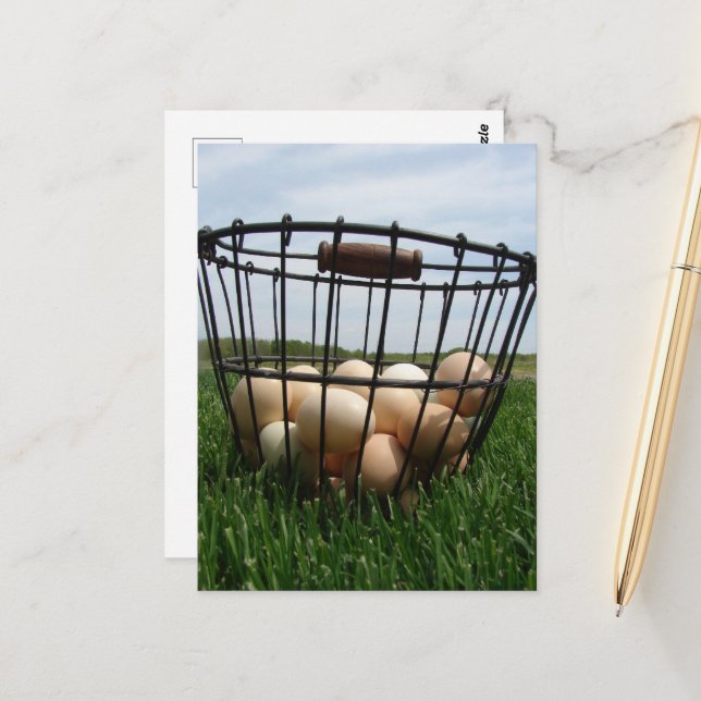Carte Postale Panier d'oeufs frais de ferme dans l'herbe (Devant/Arrière en situation)
