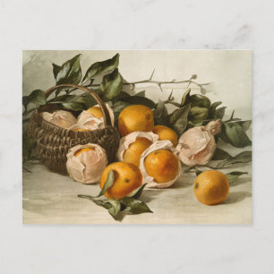 Carte Postale Panier d'oranges