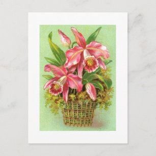Carte postale Panier d'orchidées roses Vintage