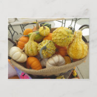 Panier gourd