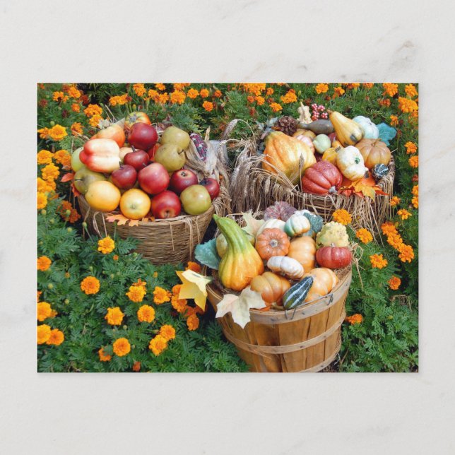 Carte Postale Paniers de fruits et légumes d'automne (Devant)