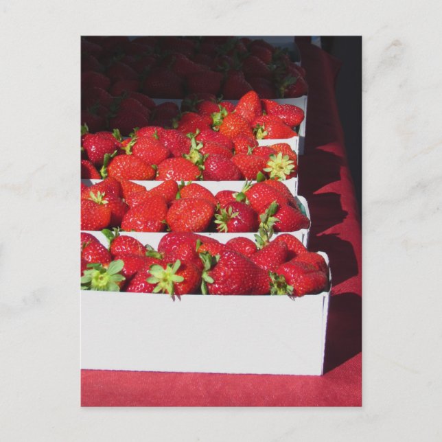 Carte postale - Paniers fraises (vrt) (Devant)