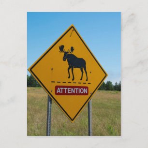 Carte Postale Panneau d'avertissement d'orignal