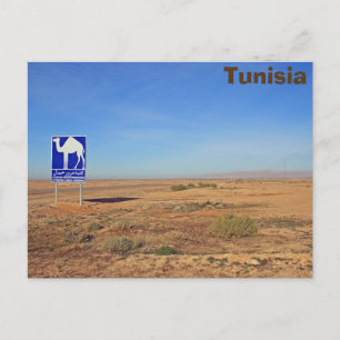 Carte Postale Panneau de chameaux, Tunisie
