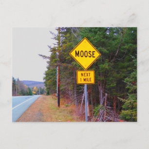 Carte Postale Panneau de passage de l'orignal, New Hampshire