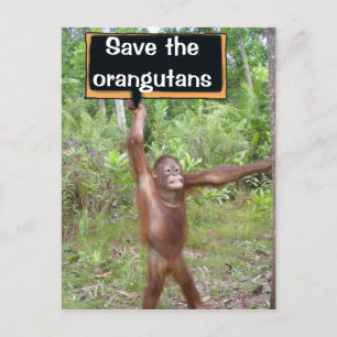 Carte Postale Panneau de protestation Orangoutan