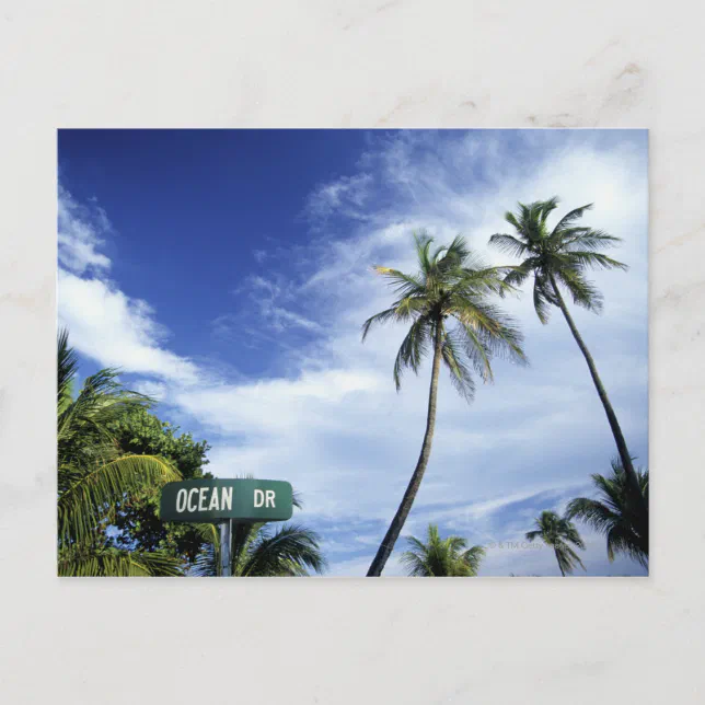 Carte Postale Panneau de route Ocean Drive, South Beach, Miami, Zazzle.fr