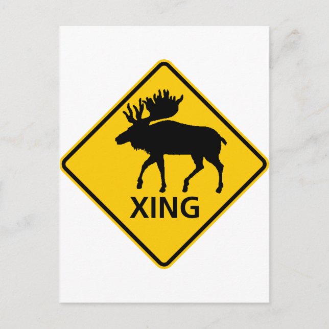Carte Postale Panneau de signalisation de traversée de l'orignal (Devant)