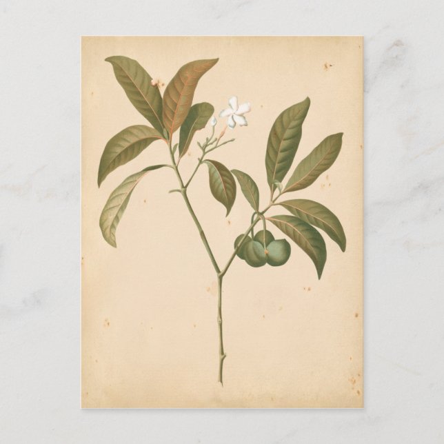 Carte Postale Panneau Décor Cobalt I (Devant)