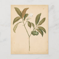 Panneau Décor Cobalt I