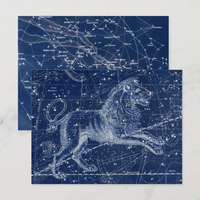 Carte Postale Panneau Leo Zodiac Illustration Vintage (Devant / Derrière)