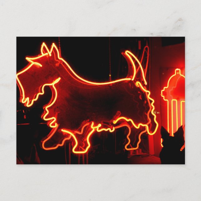 Carte Postale Panneau néon Route 66 (Devant)