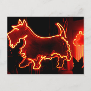 Carte Postale Panneau néon Route 66