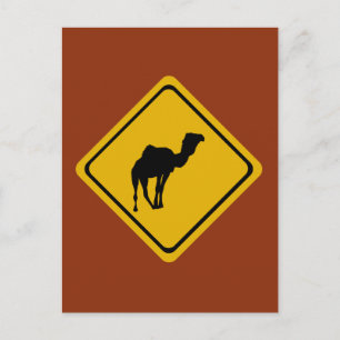 Carte Postale panneau routier de chameau
