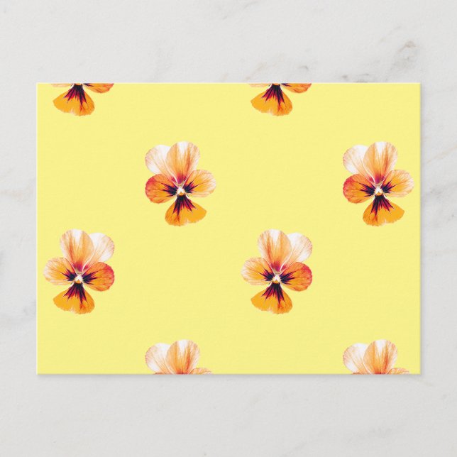 Carte Postale panneaux orange (Devant)