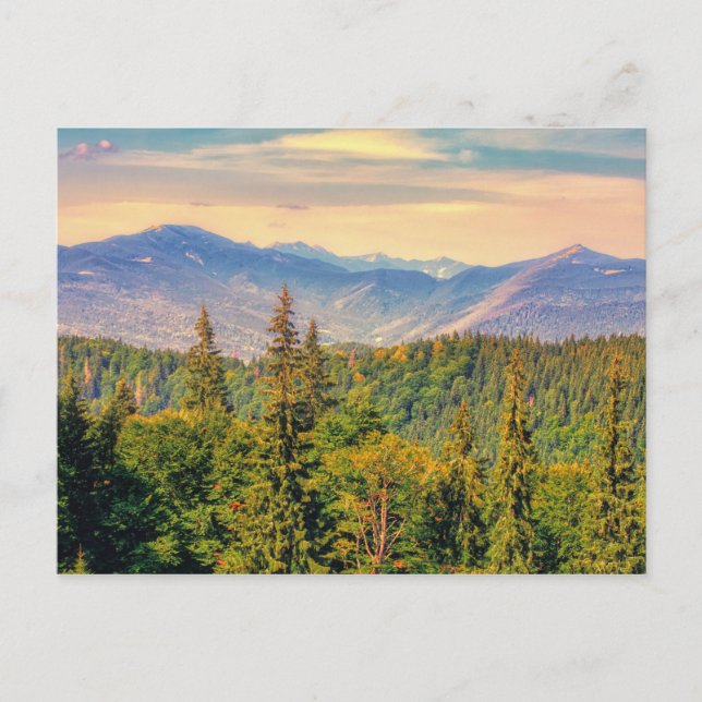 Carte Postale Panorama des Carpates (Devant)