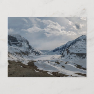Carte Postale Panorama des champs de glace du Canada Columbia