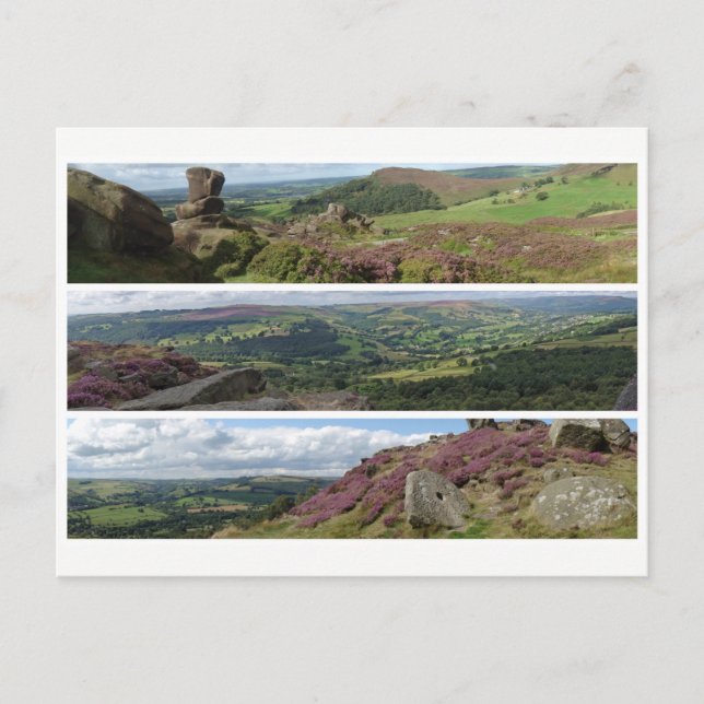 Carte Postale Panoramas de bruyère du district de Peak (Devant)